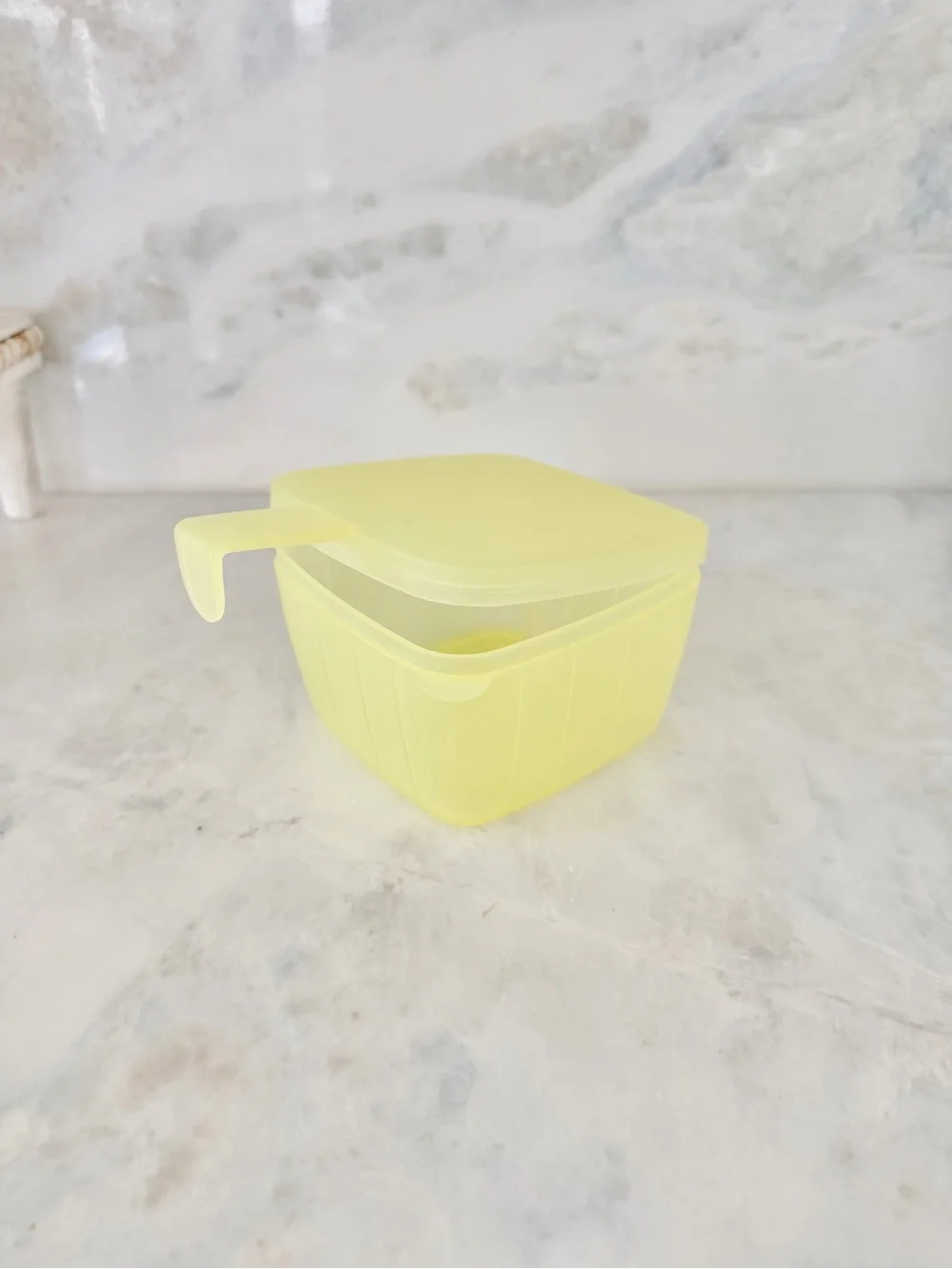 Tupperware slice cheese Storage Container with hinged Lid - Home Organization